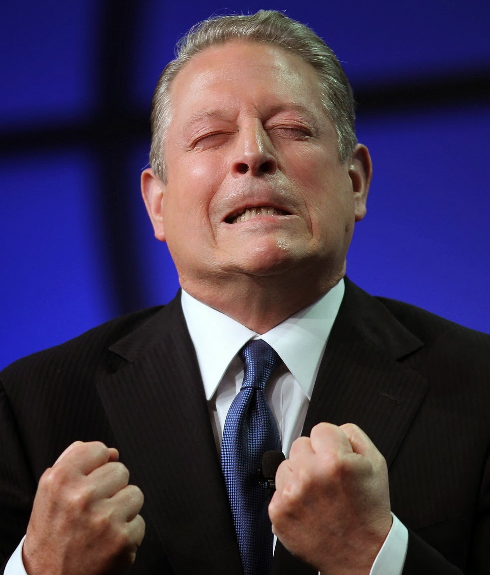 Image result for al gore